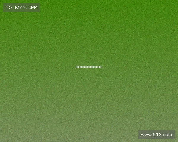 探索德克萨斯娱乐的丰富多彩与独特魅力
